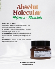 Bộ sản phẩm phục hồi chuyên sâu L'Oréal Professionnel Absolut Repair Molecular