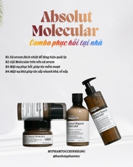 Bộ sản phẩm phục hồi chuyên sâu L'Oréal Professionnel Absolut Repair Molecular