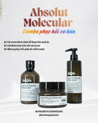 Bộ sản phẩm phục hồi chuyên sâu L'Oréal Professionnel Absolut Repair Molecular