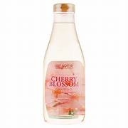 Cặp dầu gội và dầu xả siêu dưỡng tinh chất Beaver Cherry blossom dành cho tóc dầu
