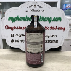 DẦU GỘI DÀNH CHO TÓC MỎNG, RỤNG, HƯ TỔN NASHI ARGAN MASS SOLUTION 250ML - 1000ML