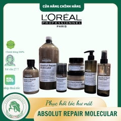 Bộ sản phẩm phục hồi chuyên sâu L'Oréal Professionnel Absolut Repair Molecular