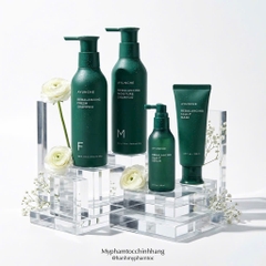 Bộ sản phẩm gội xả serum cân bằng da đầu chống rụng, trị gầu, kiềm dầu AYUNCHE