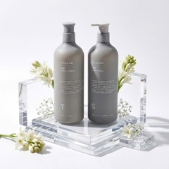 Bộ sản phẩm phục hồi chuyên sâu Ayunche Pro