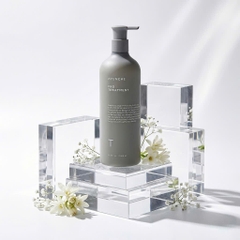 Bộ sản phẩm phục hồi chuyên sâu Ayunche Pro