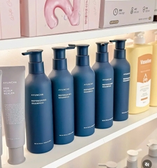 Dầu gội mát lạnh làm sạch da đầu  gàu và dầu thừa  Refreshing Aqua 500g