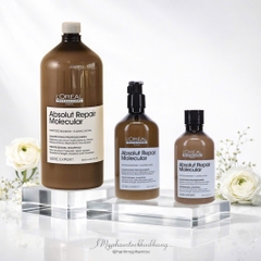 Bộ sản phẩm phục hồi chuyên sâu L'Oréal Professionnel Absolut Repair Molecular
