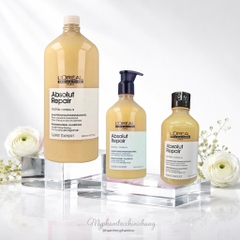 Dầu gội xả hâp, dầu dưỡng tóc phục hồi L'Oréal vàng Absolut Repair