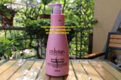 Dầu Gội & Dầu Xả Tái Tạo Tóc Hư Tổn Obsidian Damage Care Shampoo & Conditioner