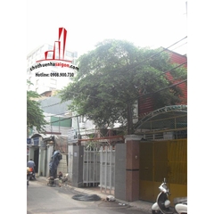 Cho thuê nhà quận Tân Bình, đường Trà Khúc, phường 2, quận Tân Bình, khu sân bay, Giá: 14 Triệu