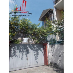 cho thuê biệt thự mini sân vườn đường võ thị sáu quận 1, giá cho thuê:1000$/tháng