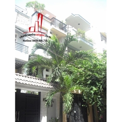 Cho thuê nhà quận Tân Bình, đường Nguyễn Trọng Tuyển, phường 1, quận Tân Bình, Giá: 1000 USD