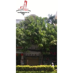 cho thuê nhà nguyên mặt tiền đường cộng hòa quận tân bình, giá cho thuê:40tr/tháng