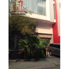 cho thuê villa quận phú nhuận, khu phan xích long giá cho thuê:thương lượng
