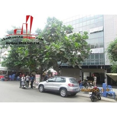 cho thuê nhà quận bình thạnh, đường d2 giá cho thuê: thương lượng