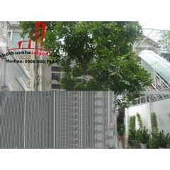 Cần cho thuê nhà mặt tiền đường Trần Quốc Toản Quận 3, giá 49tr/th
