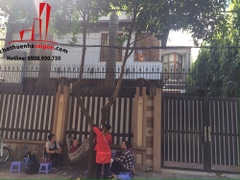 cần cho thuê villa mặt tiền đường nguyễn thành ý quận 1, giá cho thuê:7000$/tháng