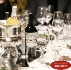 Rượu vang đỏ Chile MontGras  Quatro