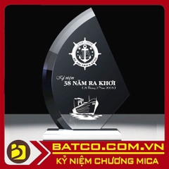 Kỷ niệm chương mica (mẫu 1)