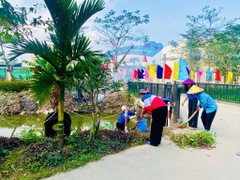 TỔNG VỆ SINH MÔI TRƯỜNG ĐÓN TẾT BÍNH NGỌ 2026