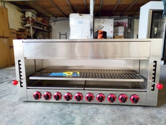 Salamander 10