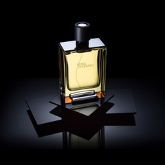 Terre D'hermes EDT