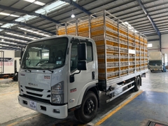 ISUZU NQR75L EURO4 2023 5,5 Tấn (5,5m) EURO4 2024 EURO5 2025