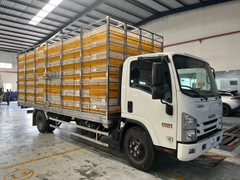 ISUZU NQR75L EURO4 2023 5,5 Tấn (5,5m) EURO4 2024 EURO5 2025