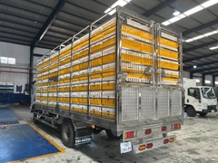 ISUZU NQR75L EURO4 2023 5,5 Tấn (5,5m) EURO4 2024 EURO5 2025