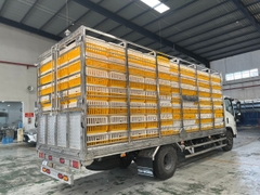 ISUZU NQR75L EURO4 2023 5,5 Tấn (5,5m) EURO4 2024 EURO5 2025