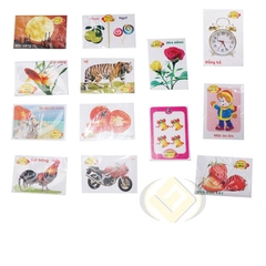 Loto giáo dục vệ sinh