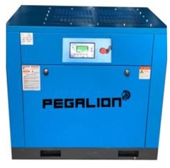 Máy nén khí trục vít TMBT - 175HP