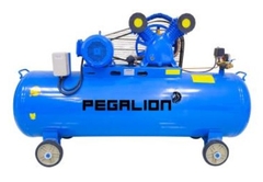 MÁY NÉN KHÍ DÂY ĐAI PEGALION TM-V-0.6/8 -330L