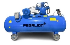 MÁY NÉN KHÍ DÂY ĐAI PEGALION TM-W-0.36/12.5-230L (220V)