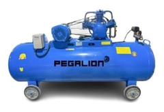 MÁY NÉN KHÍ DÂY ĐAI PEGALION TM-W-0.67/12.5 -330L