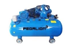 MÁY NÉN KHÍ DÂY ĐAI PEGALION TM-W-0.67/8 -500L