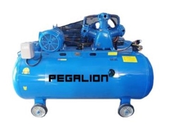 MÁY NÉN KHÍ DÂY ĐAI PEGALION TM-W-1.0/8 -500L