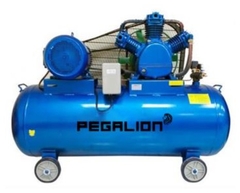 MÁY NÉN KHÍ DÂY ĐAI PEGALION TM-W-1.6/12.5-500L