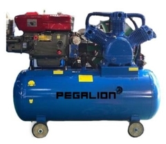 MÁY NÉN KHÍ CHẠY BẰNG DẦU DIESEL TM-W-1.6/8-500L