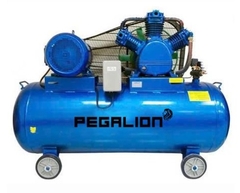 MÁY NÉN KHÍ DÂY ĐAI PEGALION TM-W-2.0/12.5-500L