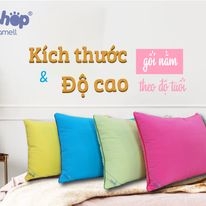 RUỘT GỐI NẰM PETSHOP SZ( 50x70cm)