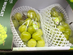 Nho sữa Hàn Quốc - Thùng 2,2kg