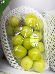 Nho Sữa Hàn Quốc