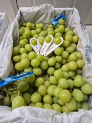 Nho xanh Sweet Globe Úc 9kg