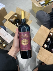 Rượu vang đỏ Duca Del Valentino