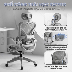 Ghế công thái học 927-1, Ghế xoay văn phòng chuẩn ergonomic