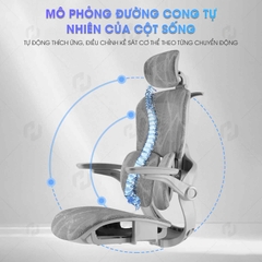 Ghế Văn Phòng Ergonomic 621 – Thiết Kế Tựa Lưng Chia Khối, Ngồi Chuẩn Tư Thế