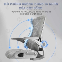 Ghế công thái học 927-1, Ghế xoay văn phòng chuẩn ergonomic