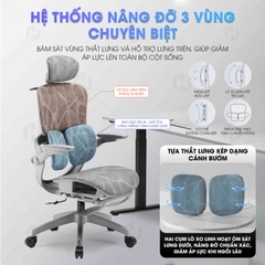 Ghế Văn Phòng Ergonomic 621 – Thiết Kế Tựa Lưng Chia Khối, Ngồi Chuẩn Tư Thế