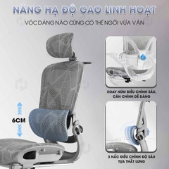Ghế công thái học 927-1, Ghế xoay văn phòng chuẩn ergonomic